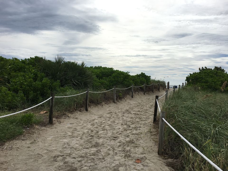 Photo of Miami, FL, United States by Swati Tiwari