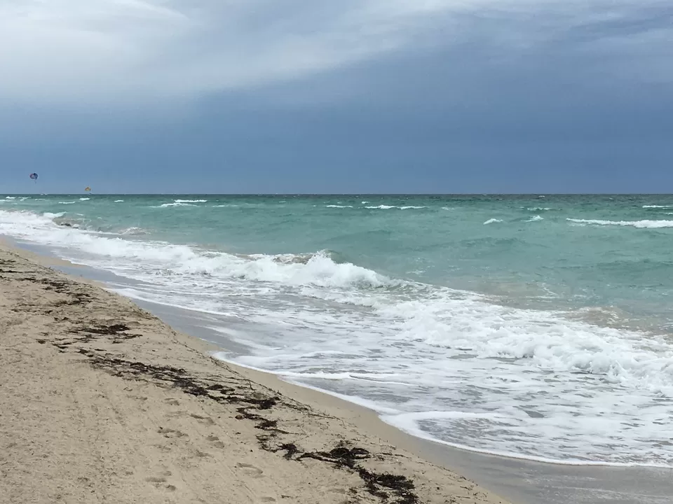 Photo of Miami, FL, United States by Swati Tiwari
