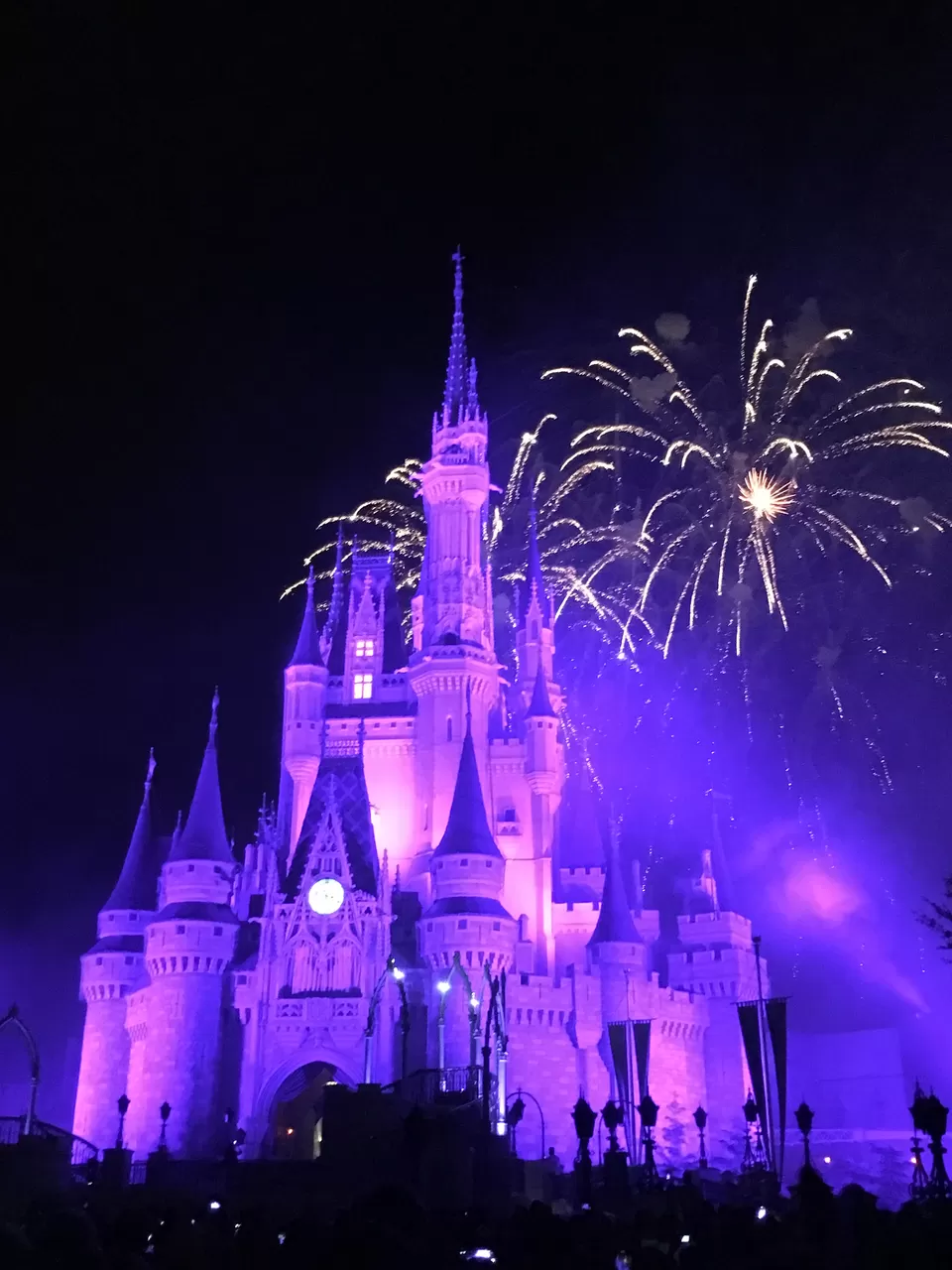 Photo of Disney world, Miami and Key west!! by Swati Tiwari