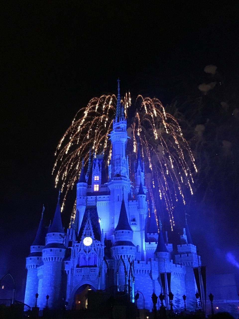 Photo of Disney world, Miami and Key west!! by Swati Tiwari