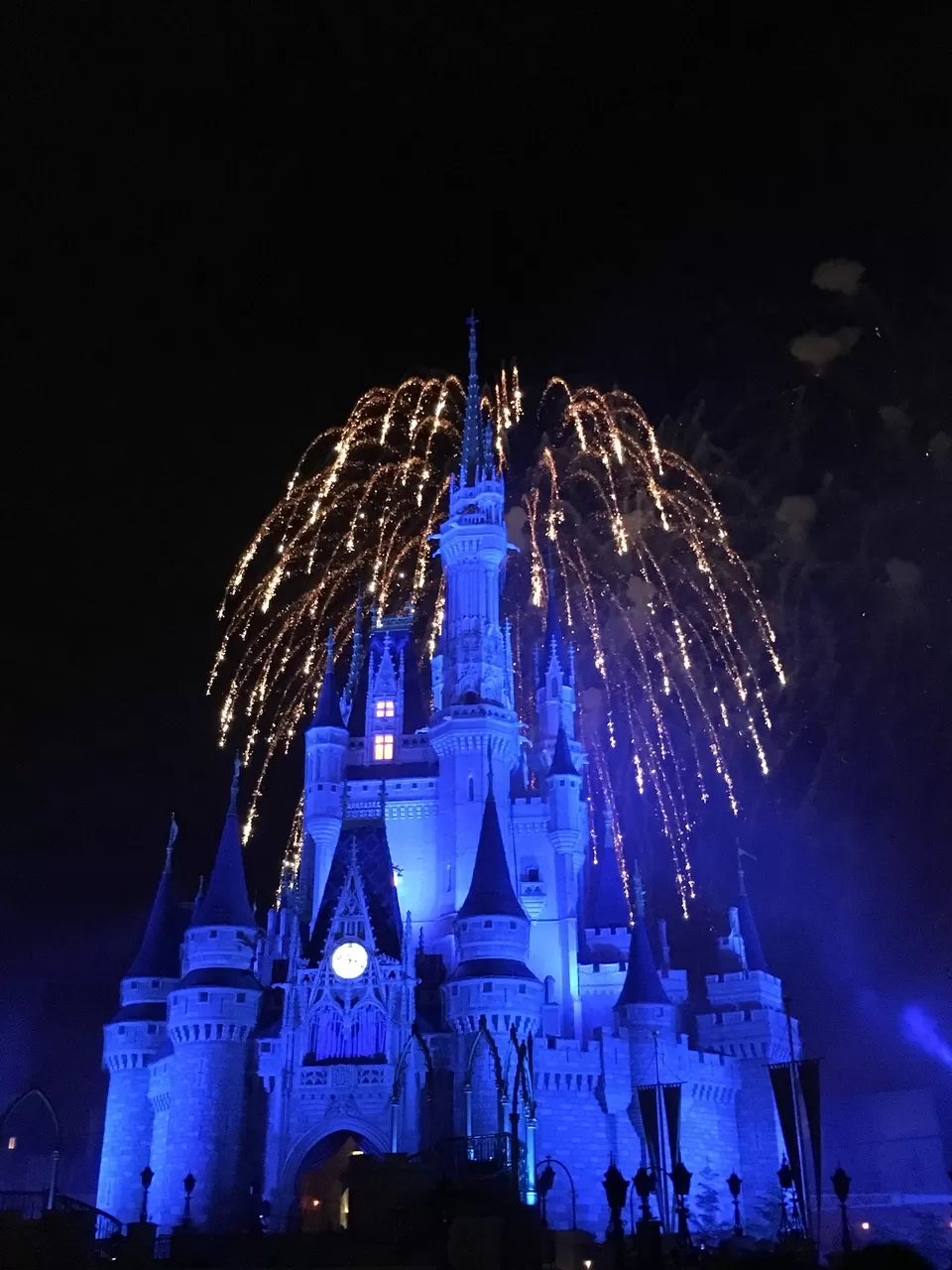 Photo of Disney world, Miami and Key west!! by Swati Tiwari