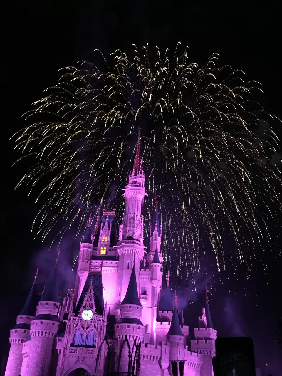 Photo of Disney world, Miami and Key west!! by Swati Tiwari