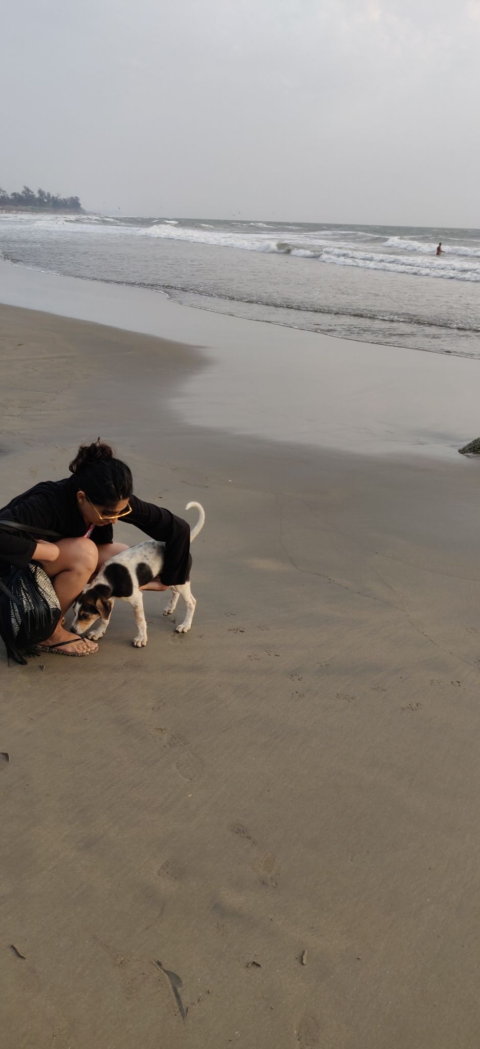 Photo of Arambol Beach, Arambol, Goa by Olive