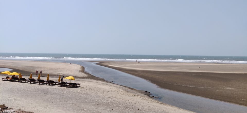 Photo of Morjim Beach, Morjim, Goa, India by Olive
