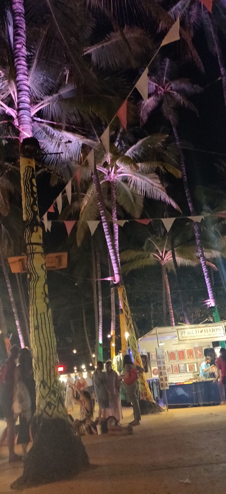 Photo of Vagator Beach, Goa by Olive
