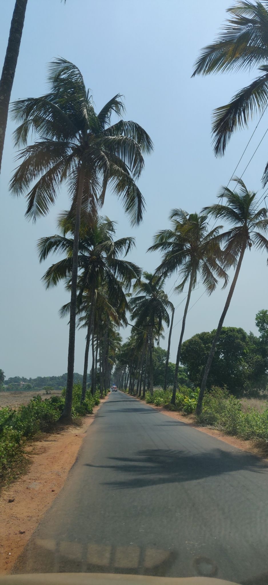 Photo of Panaji, Goa, India by Olive