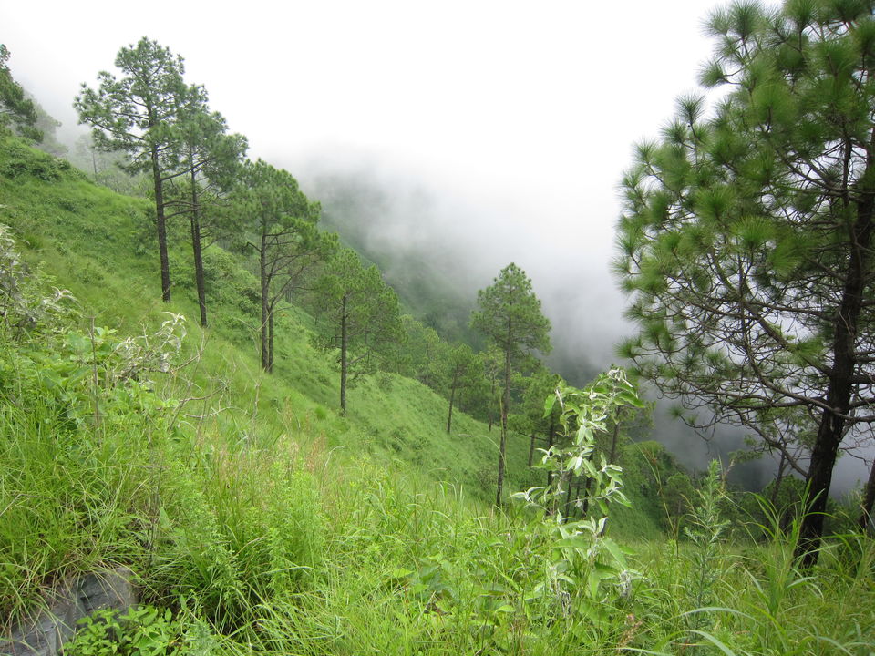 Photo of Kasauli, Himachal Pradesh, India by Nutterbugg