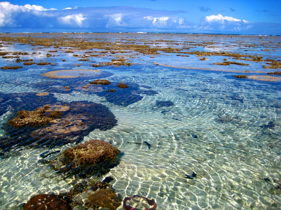 Photo of Lady Elliot Island, Queensland, Australia by Nutterbugg
