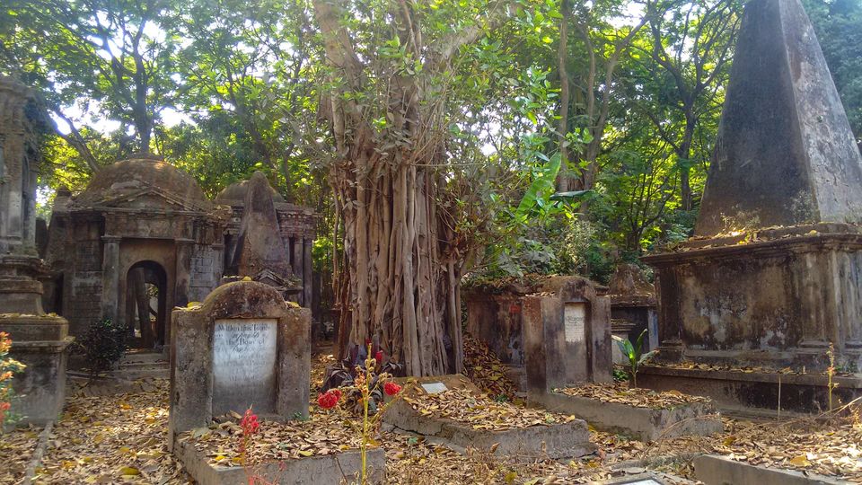 Photo of South Park Street Cemetery, Mullick Bazar, Park Street area, Kolkata, West Bengal, India by Soumita Das