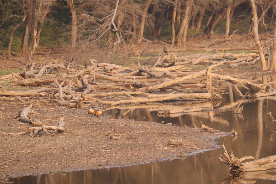 Photo of Ranthambore National Park by Soumita Das