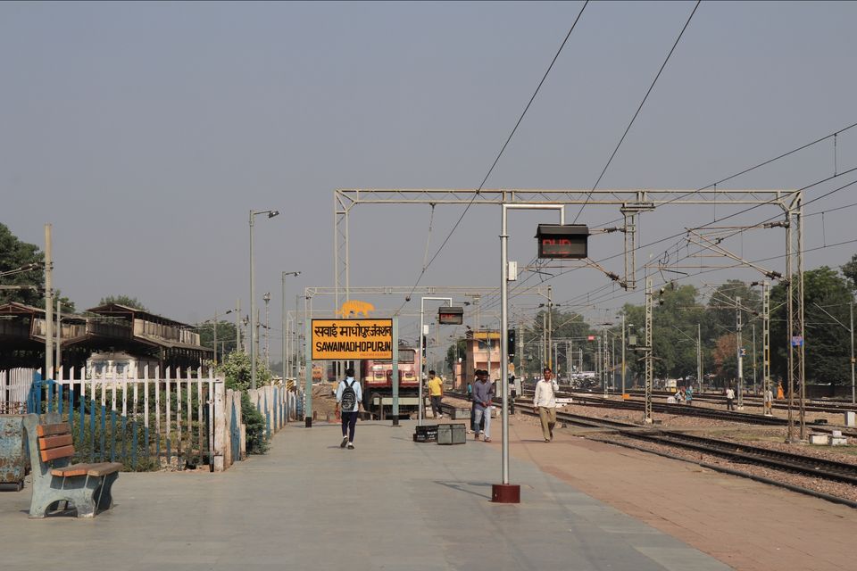 Photo of Palaces, Forts, Lakes, Desert and National Park - All in a week by Soumita Das