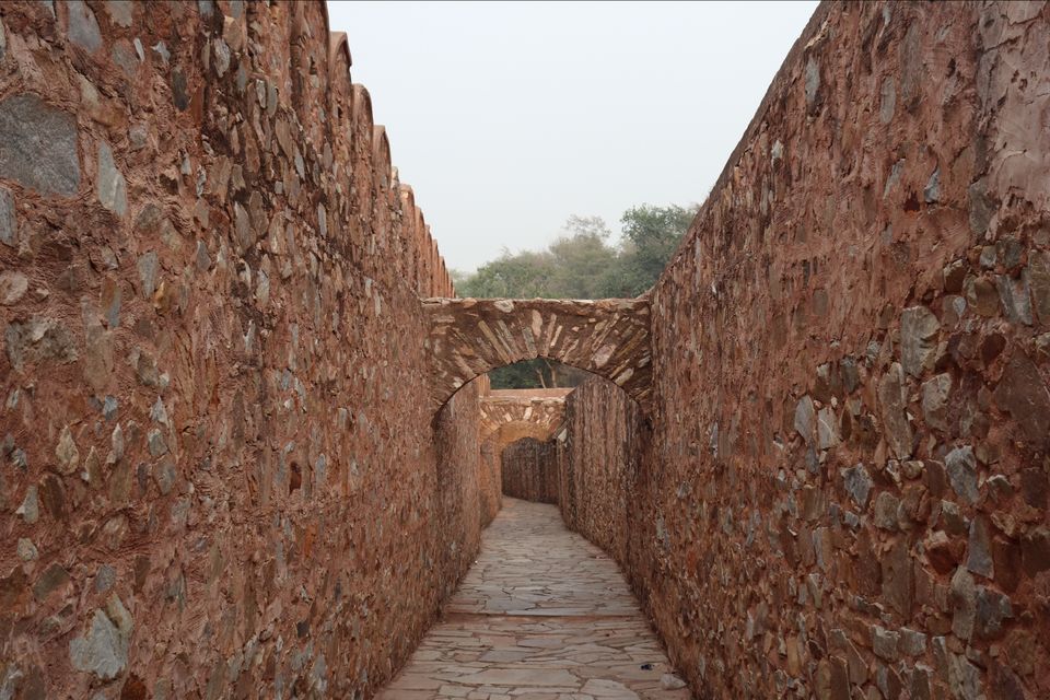 Photo of Palaces, Forts, Lakes, Desert and National Park - All in a week by Soumita Das