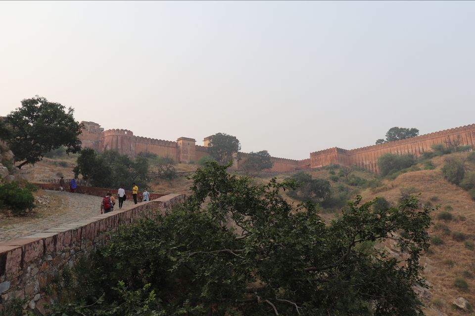 Photo of Palaces, Forts, Lakes, Desert and National Park - All in a week by Soumita Das
