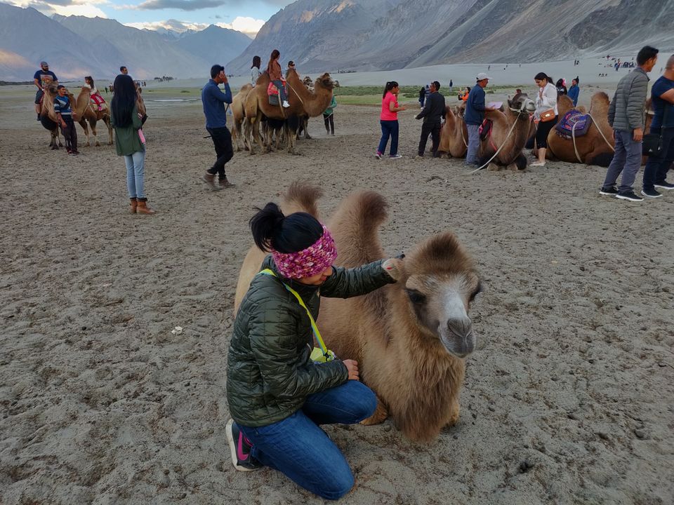 Photo of Khardungla Pass by Soumita Das