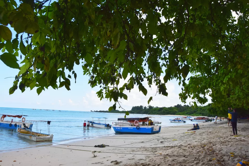 Photo of Bharatpur Beach, Neil Island, Andaman and Nicobar Islands, India by Soumita Das