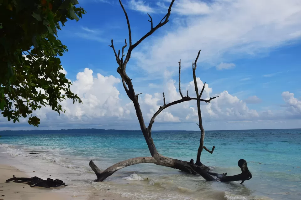 Photo of Kala Pathar Beach by Soumita Das