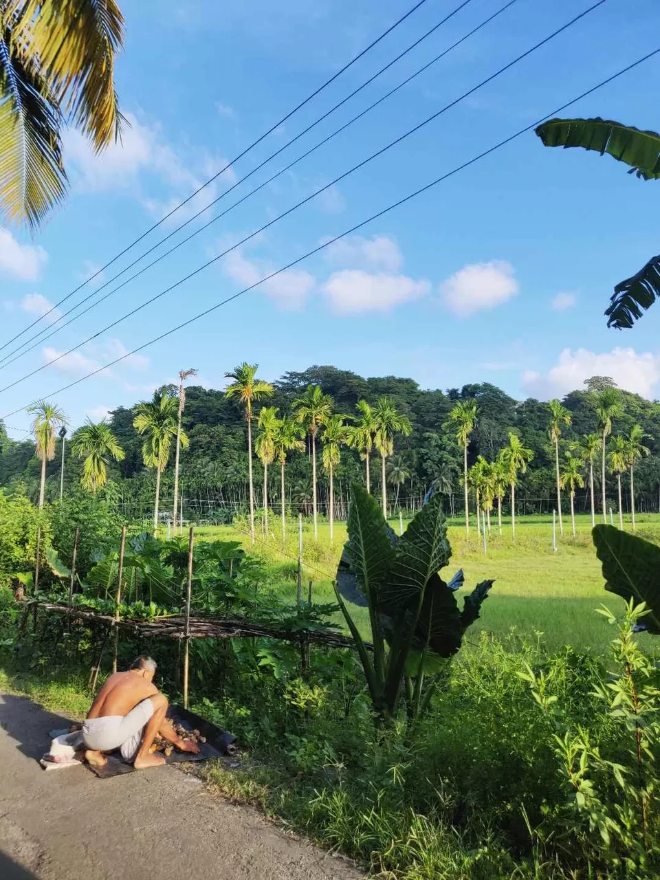 Photo of Neil Island, Andaman and Nicobar Islands by Soumita Das