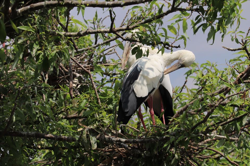Photo of This Bird Sanctuary near Mysore Is a Must Visit for Everyone by Soumita Das