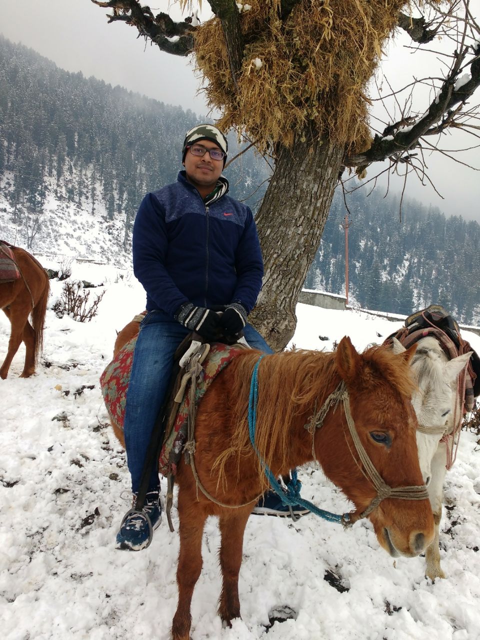 Photo of Sonamarg,Jammu and kashmir by Pawan Pandey