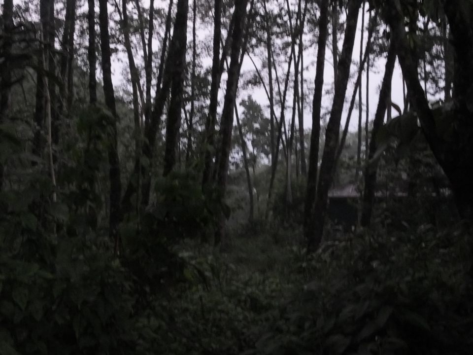 Photo of Haunting of the memories of Sikkim by Tarun J