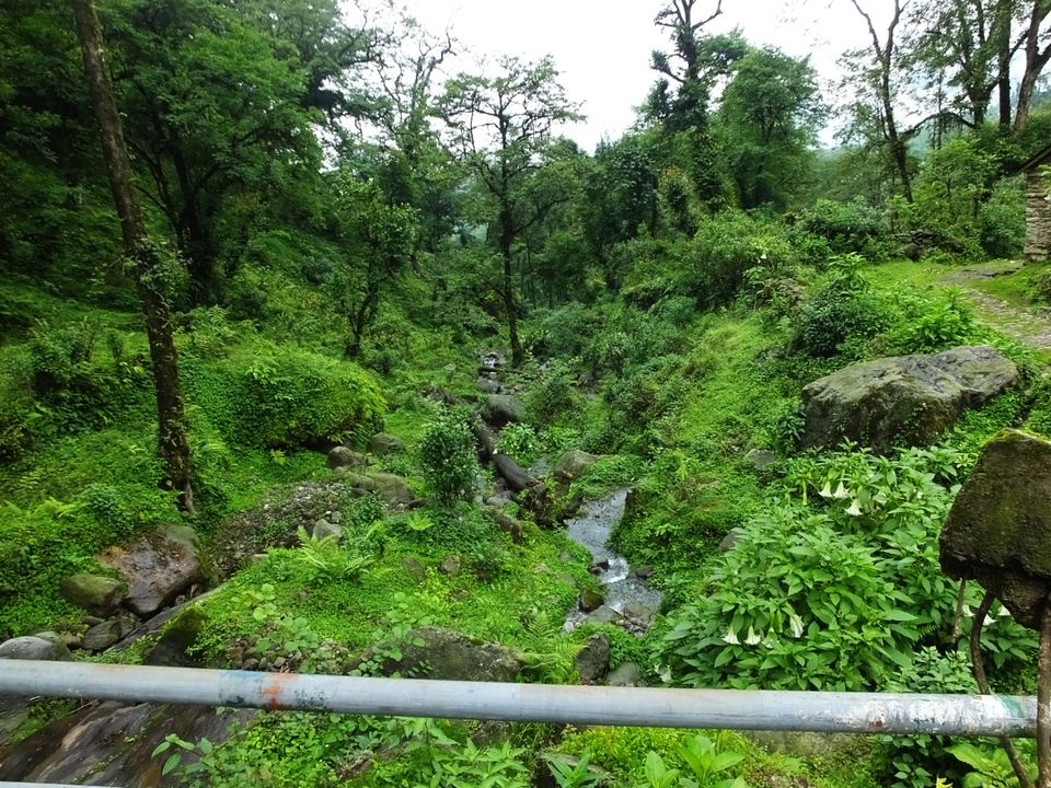 Photo of Haunting of the memories of Sikkim by Tarun J