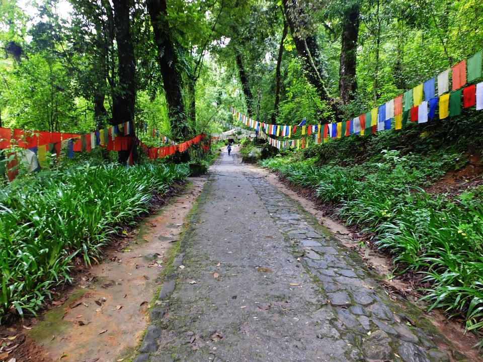 Photo of Haunting of the memories of Sikkim by Tarun J