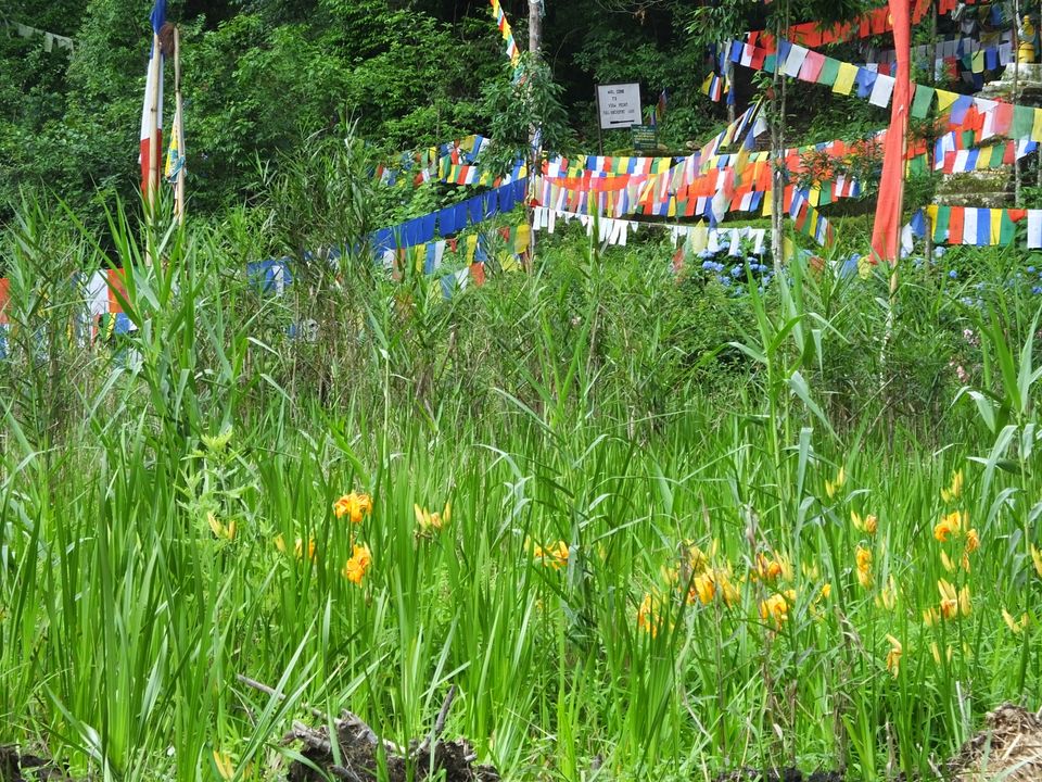 Photo of Haunting of the memories of Sikkim by Tarun J
