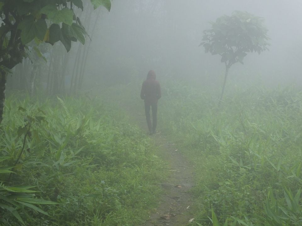 Photo of Haunting of the memories of Sikkim by Tarun J