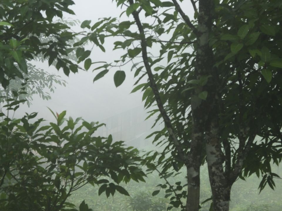 Photo of Haunting of the memories of Sikkim by Tarun J