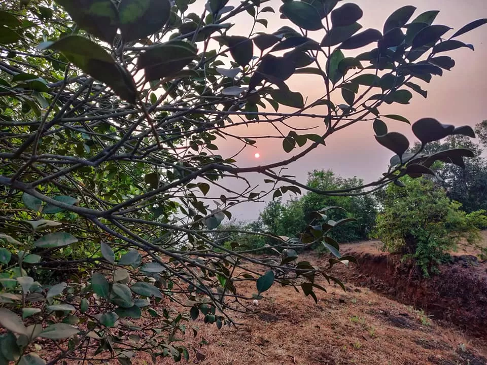 Photo of Garbett Plateau, Sondewadi, Maharashtra, India by Venu bairi