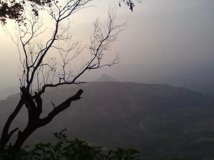 Photo of Magical Matheran! by Venu bairi