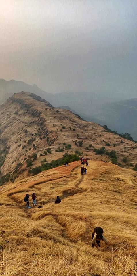 Photo of Magical Matheran! by Venu bairi