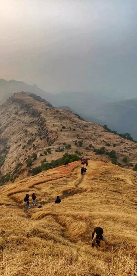 Photo of Magical Matheran! by Venu bairi