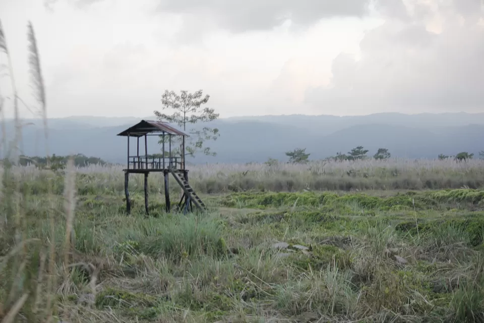Photo of Chitwan, Central Region, Nepal by Abhishek Saha