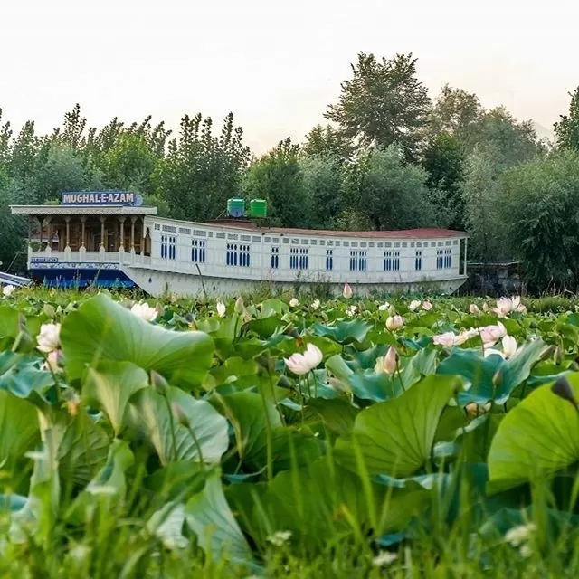 Photo of Dal Lake, Srinagar by NaughtyandCurly