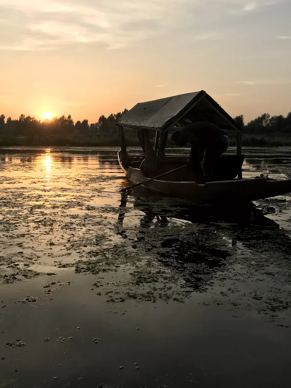 Photo of Dal Lake, Srinagar by NaughtyandCurly