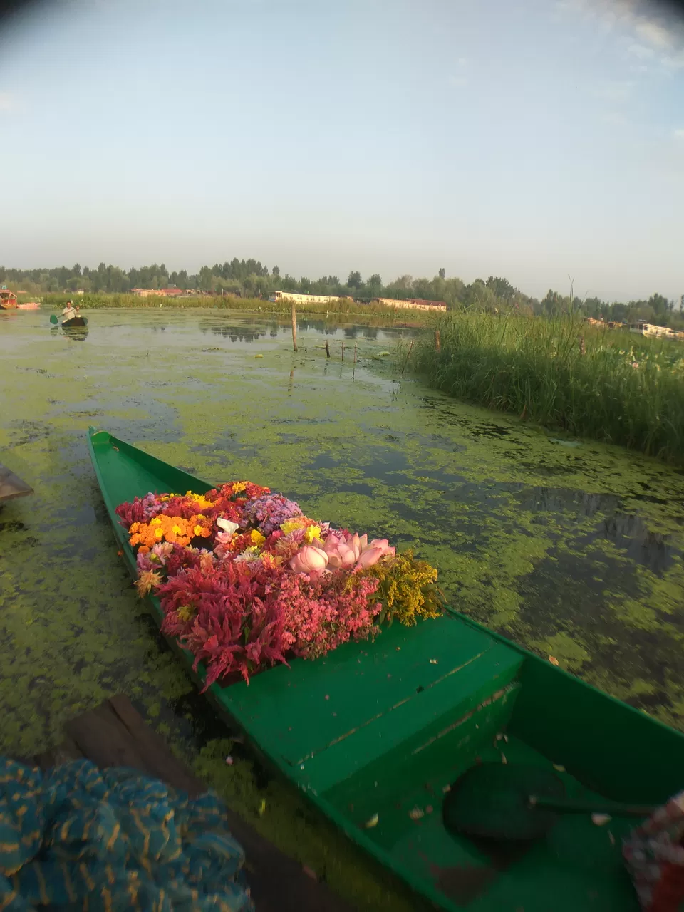 Photo of Dal Lake, Srinagar by NaughtyandCurly