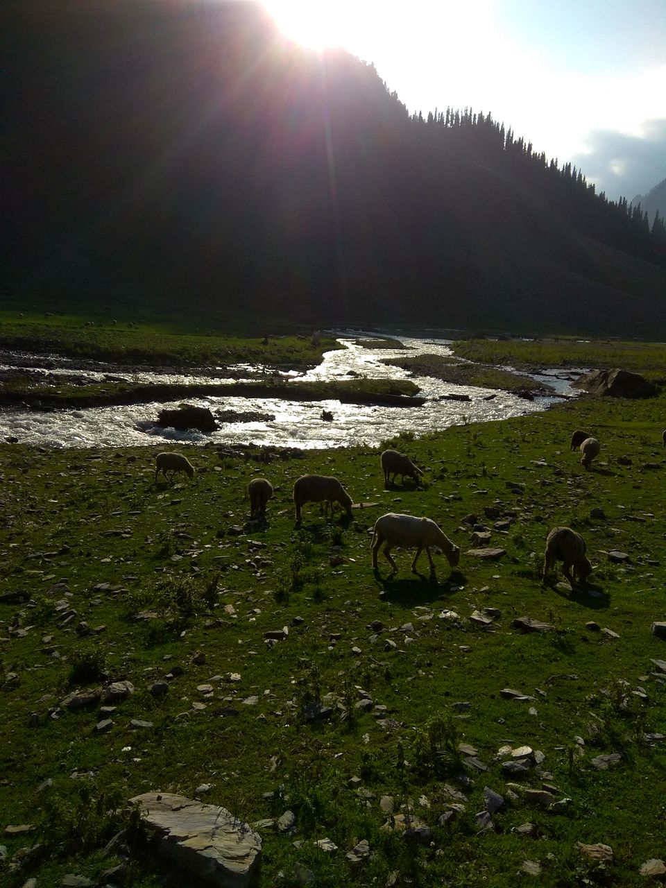 Photo of Ladakh : Every Indian's Dream Roadtrip by NaughtyandCurly