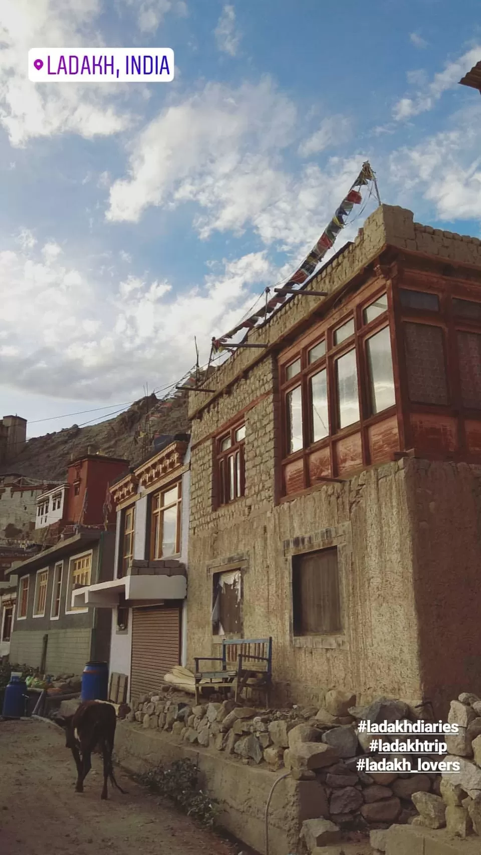 Photo of Leh Palace, Leh by NaughtyandCurly
