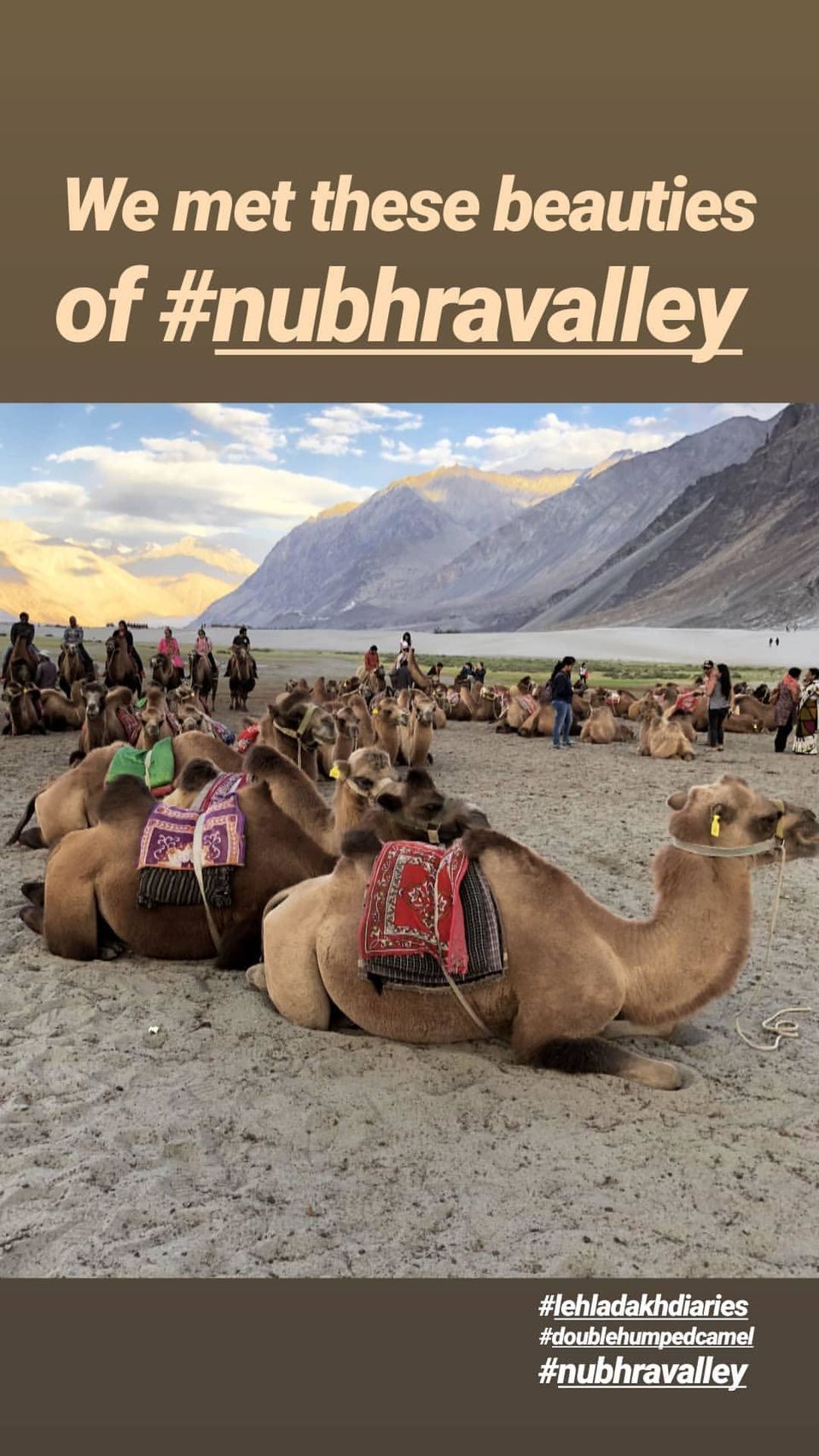 Photo of Ladakh : Every Indian's Dream Roadtrip by NaughtyandCurly