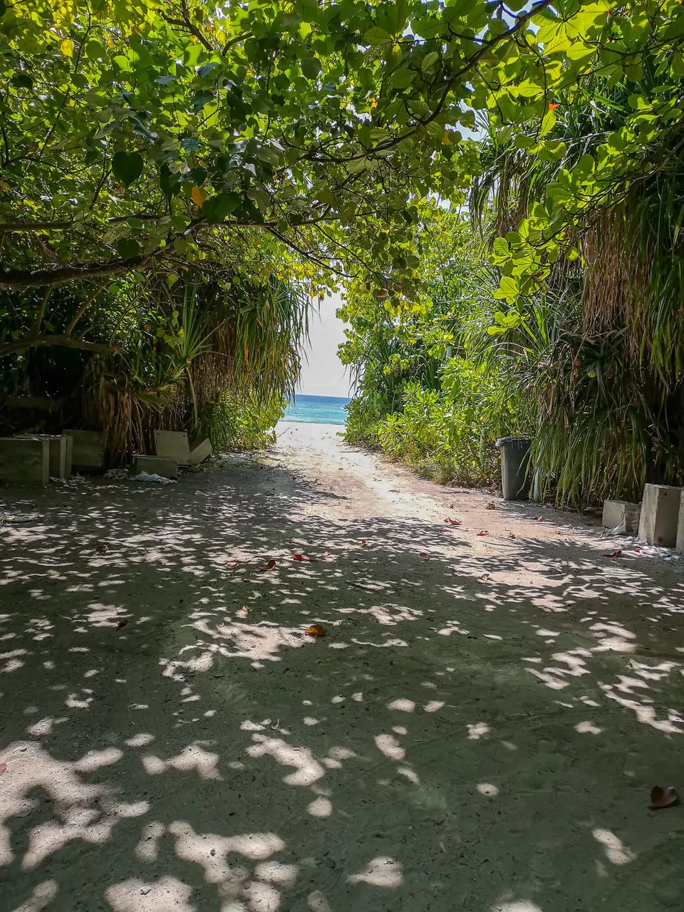 Photo of Bikini Beach, Rasdhoo, Maldives by NaughtyandCurly