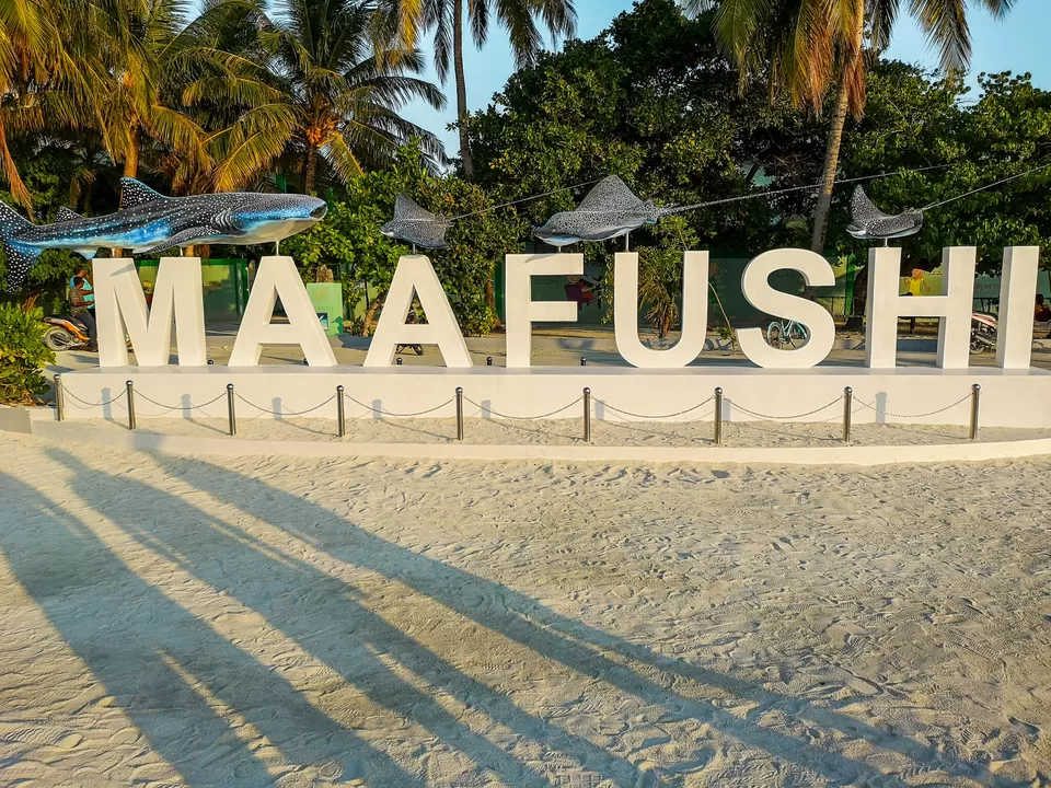 Photo of Maafushi, Maldives by NaughtyandCurly