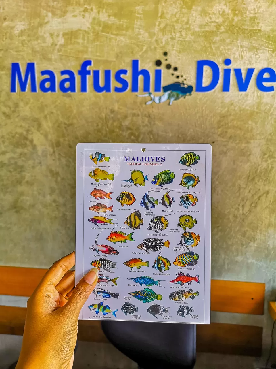 Photo of Maafushi Dive and Water Sports, Miskiy Magu Road, Maafushi, Maldives by NaughtyandCurly