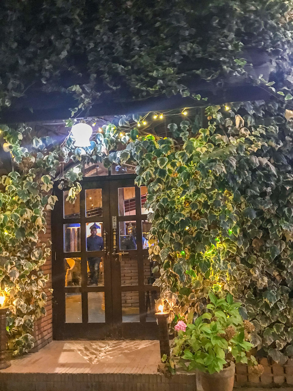 Photo of The Lazy Dog Lounge, Manu Temple Road, Old Manali, Manali, Himachal Pradesh, India by NaughtyandCurly