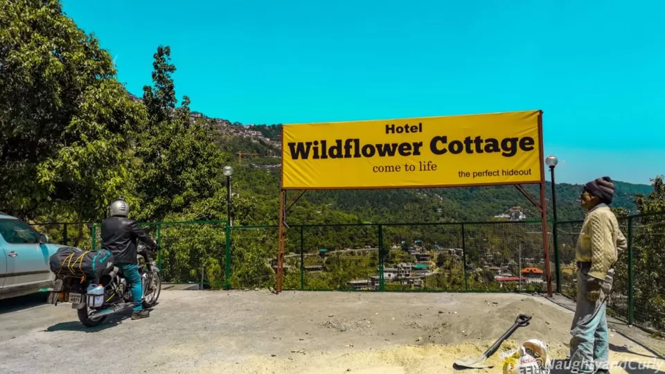 Photo of This Hidden Pahadi Gem in Mussoorie makes for the perfect getaway. | Naughty and Curly by NaughtyandCurly