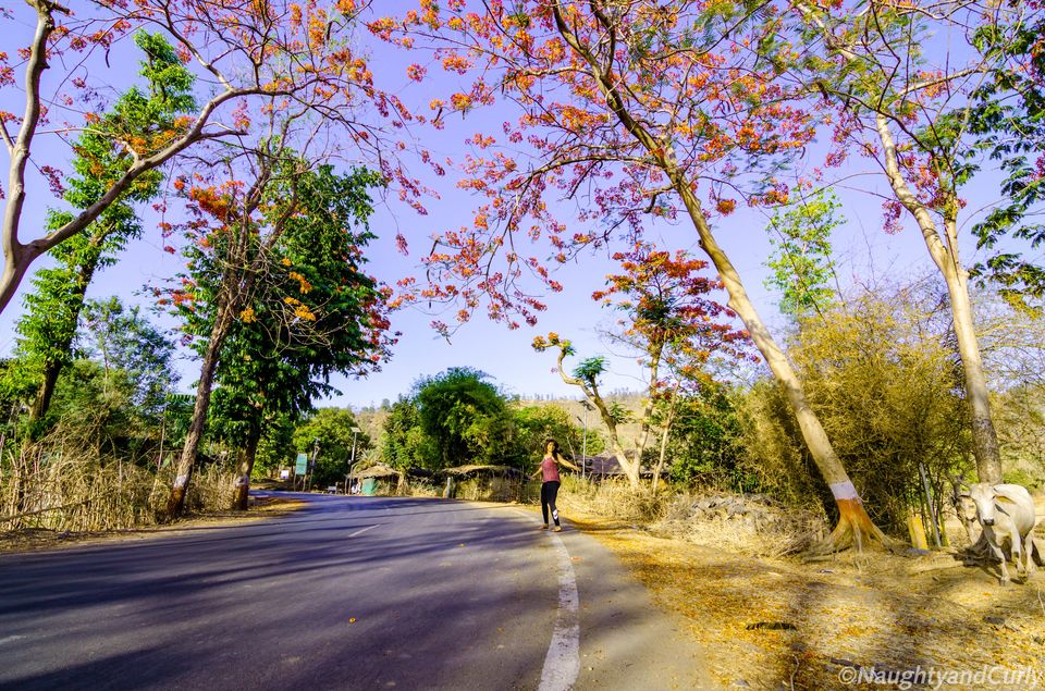 Photo of Khanvel Resort:This Family-Friendly Luxury Resort Makes For The Best Weekend Getaway In Silvassa by NaughtyandCurly