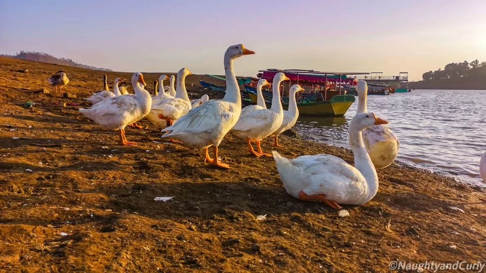 Photo of Lake Dudhani End Point, Dudhani Jetti Road, Dadra and Nagar Haveli, India by NaughtyandCurly