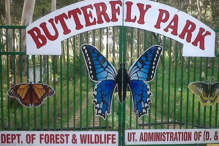 Photo of Butterfly Park Khanvel, Khanvel, Dadra and Nagar Haveli, India by NaughtyandCurly