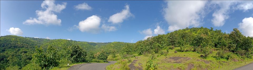 Photo of To unknown Forrests by Akash Patil