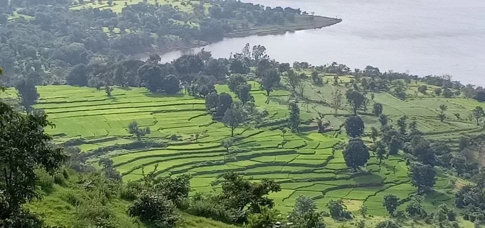 Photo of To unknown Forrests by Akash Patil